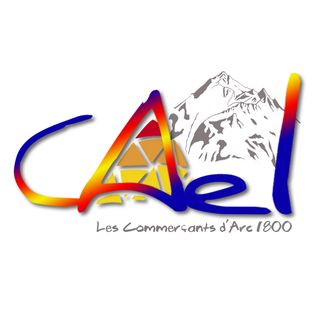 Cael_Logotype(V3)